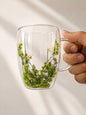 Double Wall Glass Coffee Mug with Dried Flower Design – Heat Resistant Transparent Tea Cup (350ml)